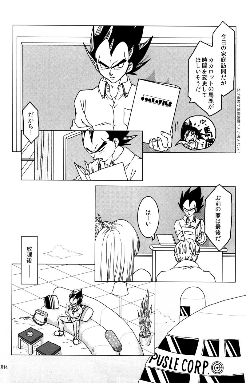 MOEBON BALL KAI (Dragonball Z) [Vegeta X Bulma] page 15 full