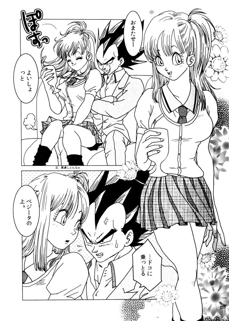 MOEBON BALL KAI (Dragonball Z) [Vegeta X Bulma] page 16 full