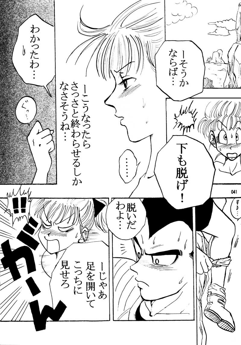 MOEBON BALL KAI (Dragonball Z) [Vegeta X Bulma] page 42 full