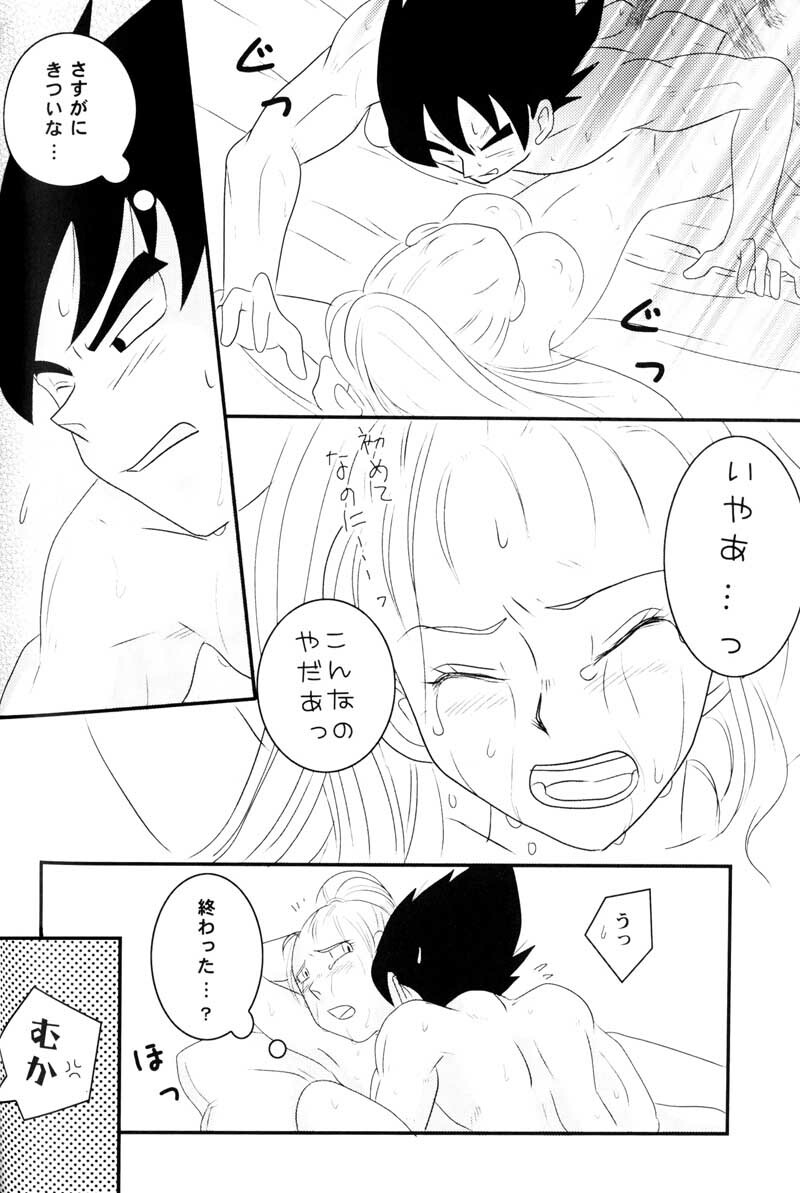 MOEBON BALL KAI (Dragonball Z) [Vegeta X Bulma] page 65 full