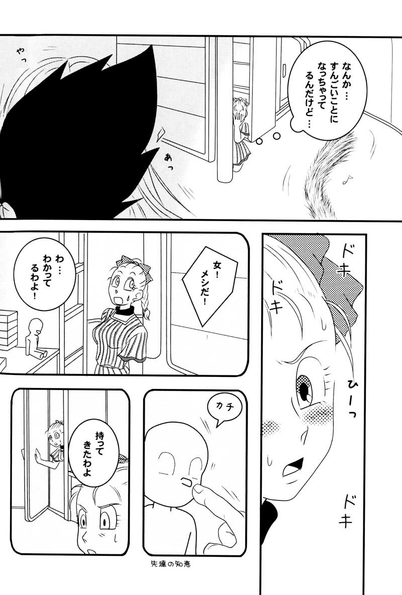 MOEBON BALL KAI (Dragonball Z) [Vegeta X Bulma] page 69 full