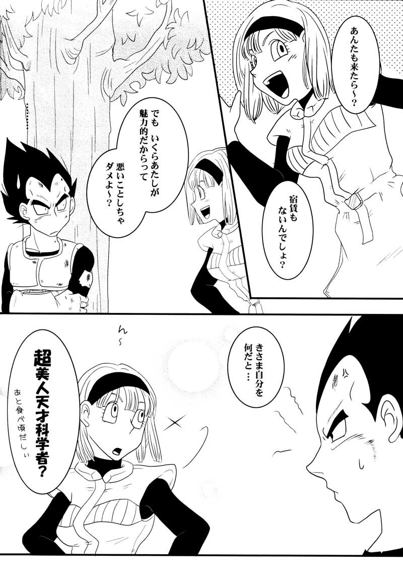 MOEBON BALL KAI (Dragonball Z) [Vegeta X Bulma] page 97 full