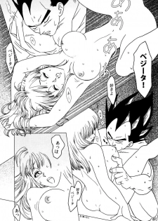 MOEBON BALL KAI (Dragonball Z) [Vegeta X Bulma] - page 28