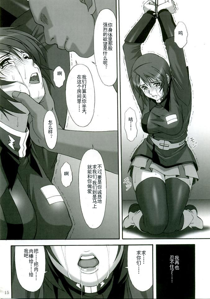 (C68) [AKKAN-Bi PROJECT (Yanagi Hirohiko)] RED BRAVO (Mobile Suit Gundam Seed Destiny) [Chinese] page 13 full