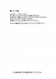 (SC26) [Nirvana Soft (Hironii)] Red Impact (Gundam Seed Destiny, Gad Guard) [English] [Hmedia] - page 3