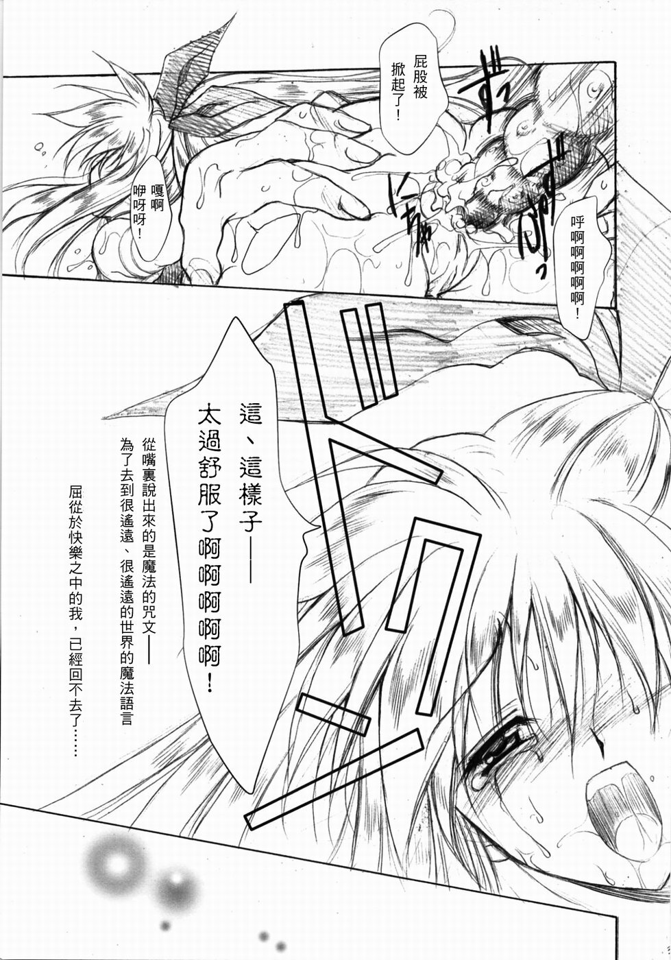 (Lyrical Magical 3) [Gin no Hoshitei (Tamiya Akito)] GrindCore (Mahou Shoujo Lyrical Nanoha) [Chinese] page 29 full