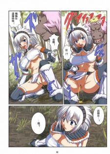 (C74) [AN-ARC (Hamo)] Kirin no Hansho Kuki G (Monster Hunter) [Chinese] [麒麟的繁殖期] - page 8