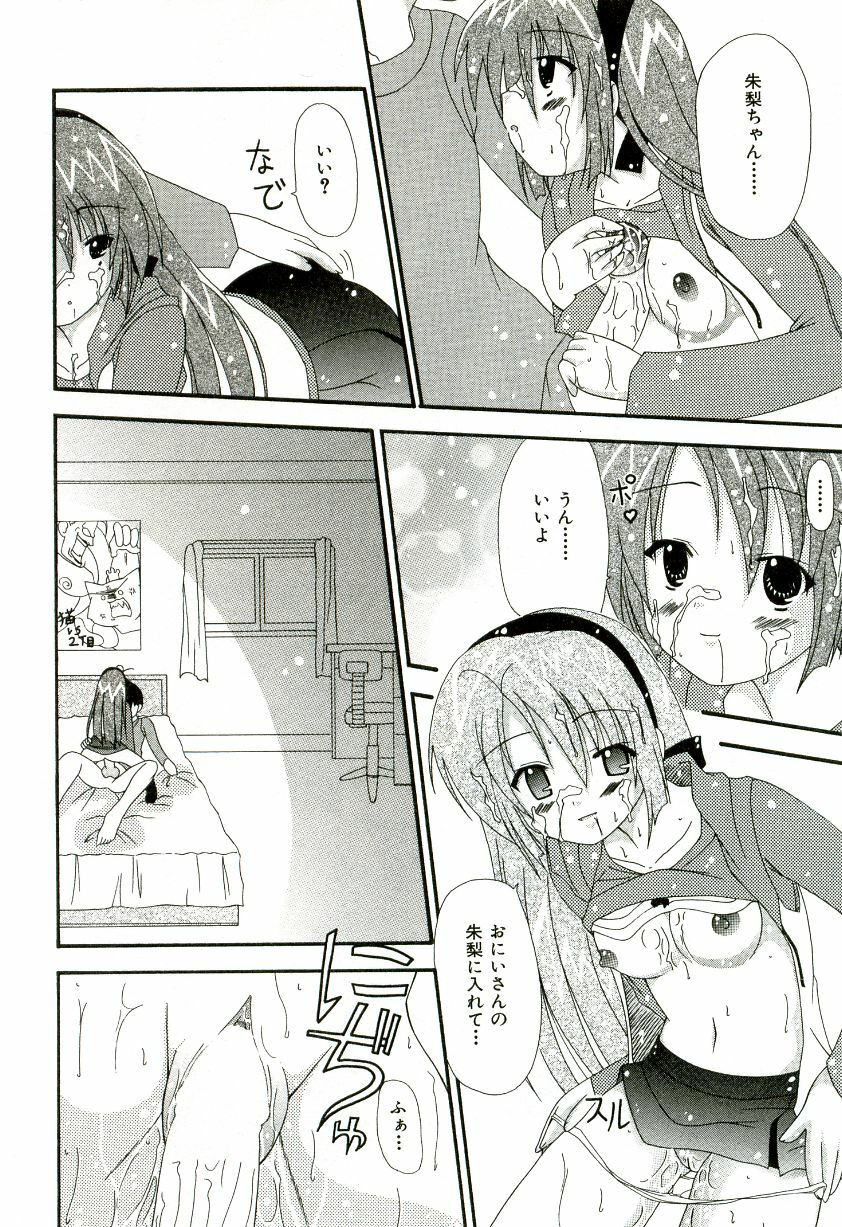 [Shiira Sara] Oishii Sisters page 19 full