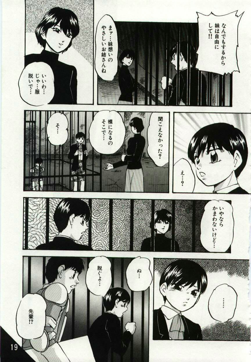 [Kazusa Shima] Kago no Naka no Kotori-tachi page 19 full