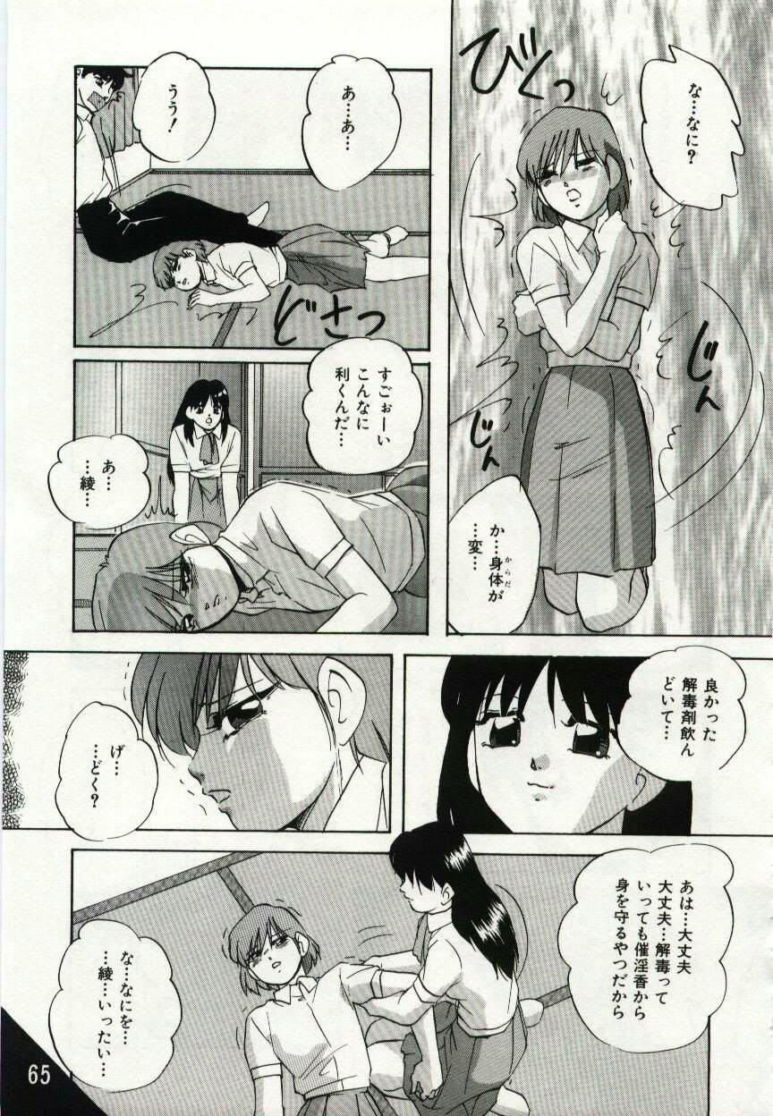 [Kazusa Shima] Kago no Naka no Kotori-tachi page 65 full