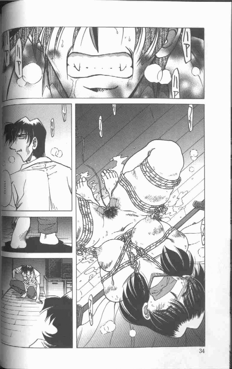 [SHIZUKA] Kankin Choukyou - Toki no Kagome II ~Risa~ page 35 full