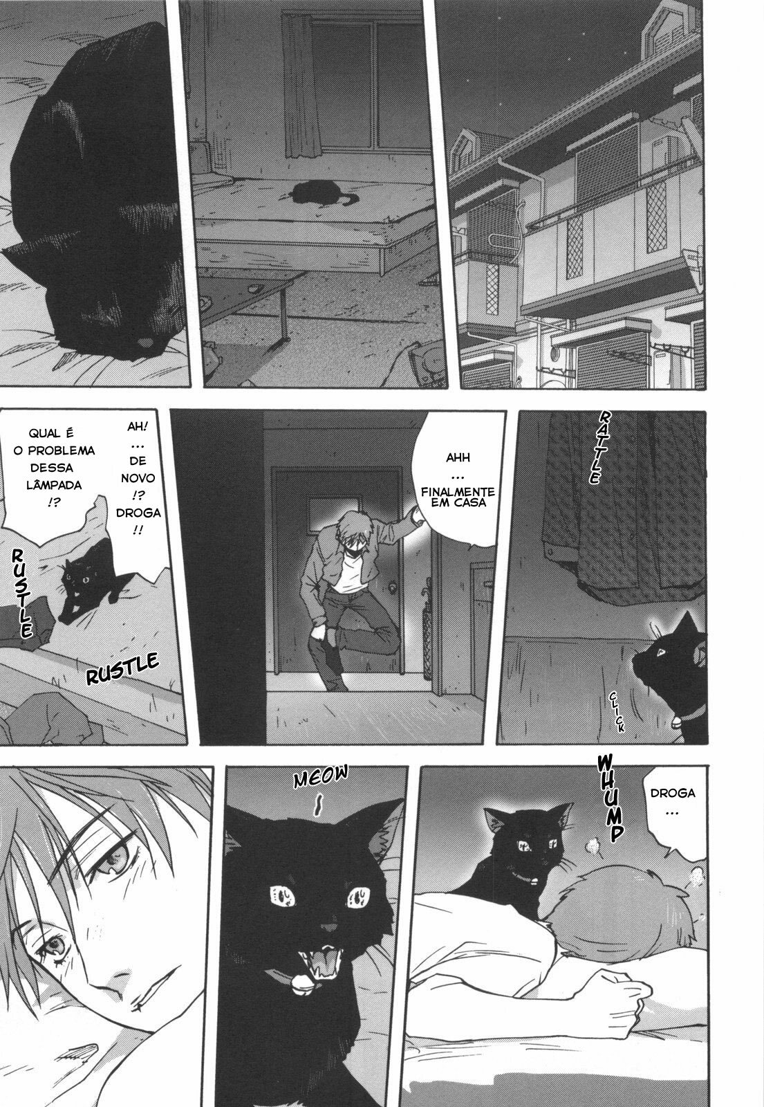 [Mitarashi Kousei] Neko no Ongaeshi | A Retribuição da Gatinha (Kazoku Donburi) [Portuguese-BR] [Letícia] page 1 full