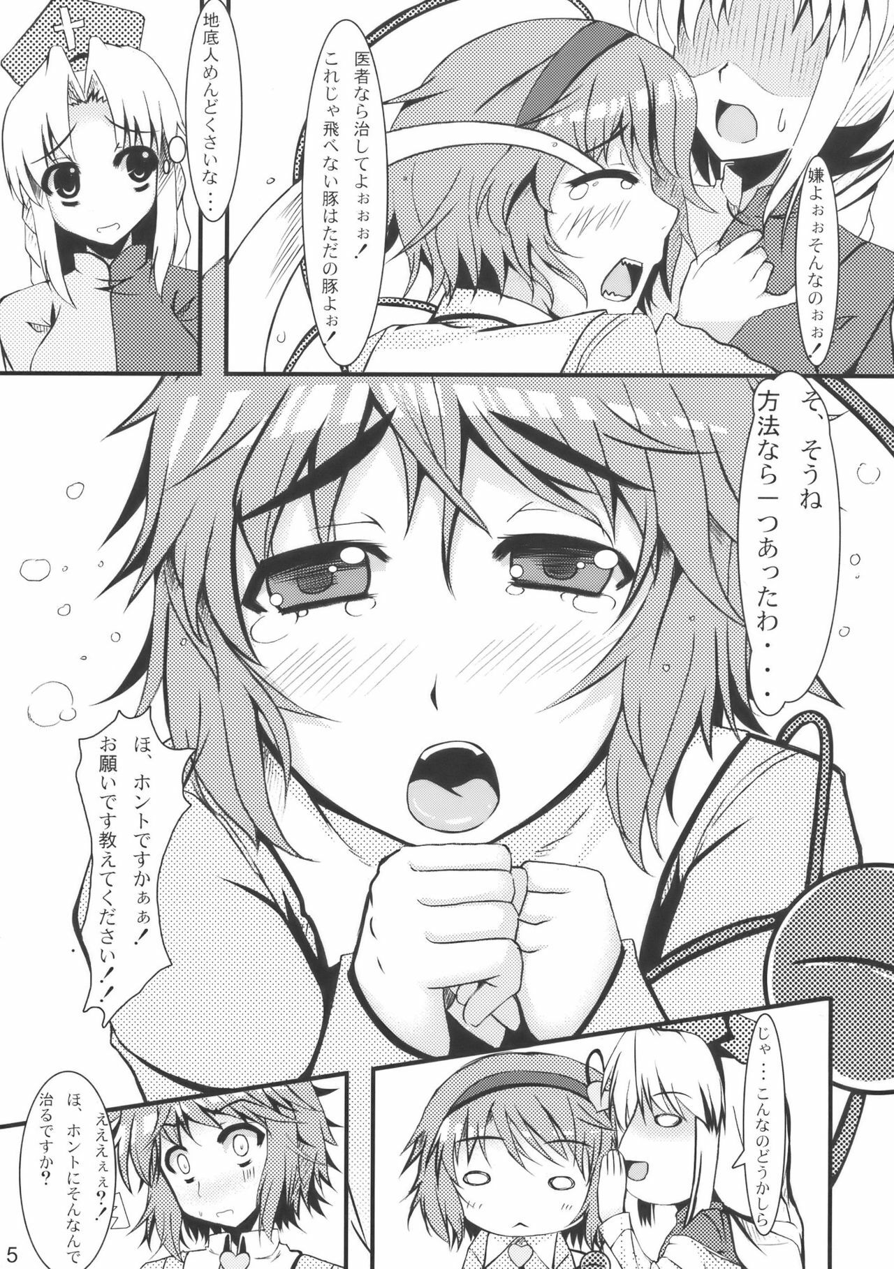 (Reitaisai 7) [Barista (Kirise Mitsuru)] Dai 666 Kousoku Kikan Kaihou, Jigen Kanshou Kyosuu Houjin Tenkai (Touhou Project) page 5 full