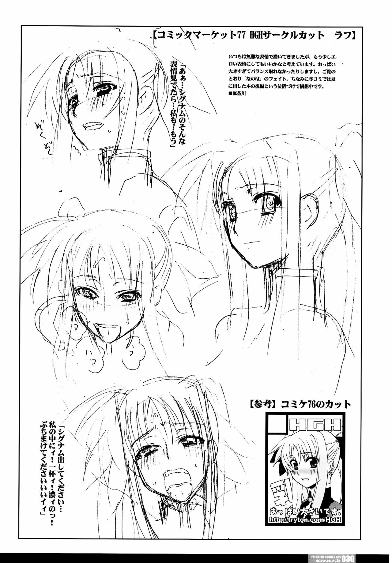 (C77) [HGH (HG Chagawa)] Pleated Gunner #20 Senshi no Himegoto (Mahou Shoujo Lyrical Nanoha) page 29 full