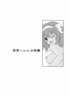(C76) [GUST (Harukaze Soyogu)] Suzumiya Haruhi no Shakunetsu (The Melancholy of Haruhi Suzumiya) [English] {doujin-moe.us} [Decensored] [Incomplete] - page 2