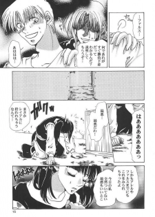 [Midori Shoukai (Hasukawa Kikyo)] Baby Pink Love (Dragon Quest III) - page 14