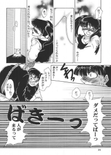 [Midori Shoukai (Hasukawa Kikyo)] Baby Pink Love (Dragon Quest III) - page 23