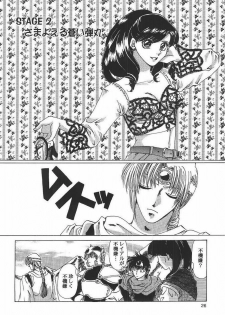 [Midori Shoukai (Hasukawa Kikyo)] Baby Pink Love (Dragon Quest III) - page 25