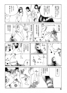 [Kago Shintarou] Tadashii Hentai Seiyoku - page 16