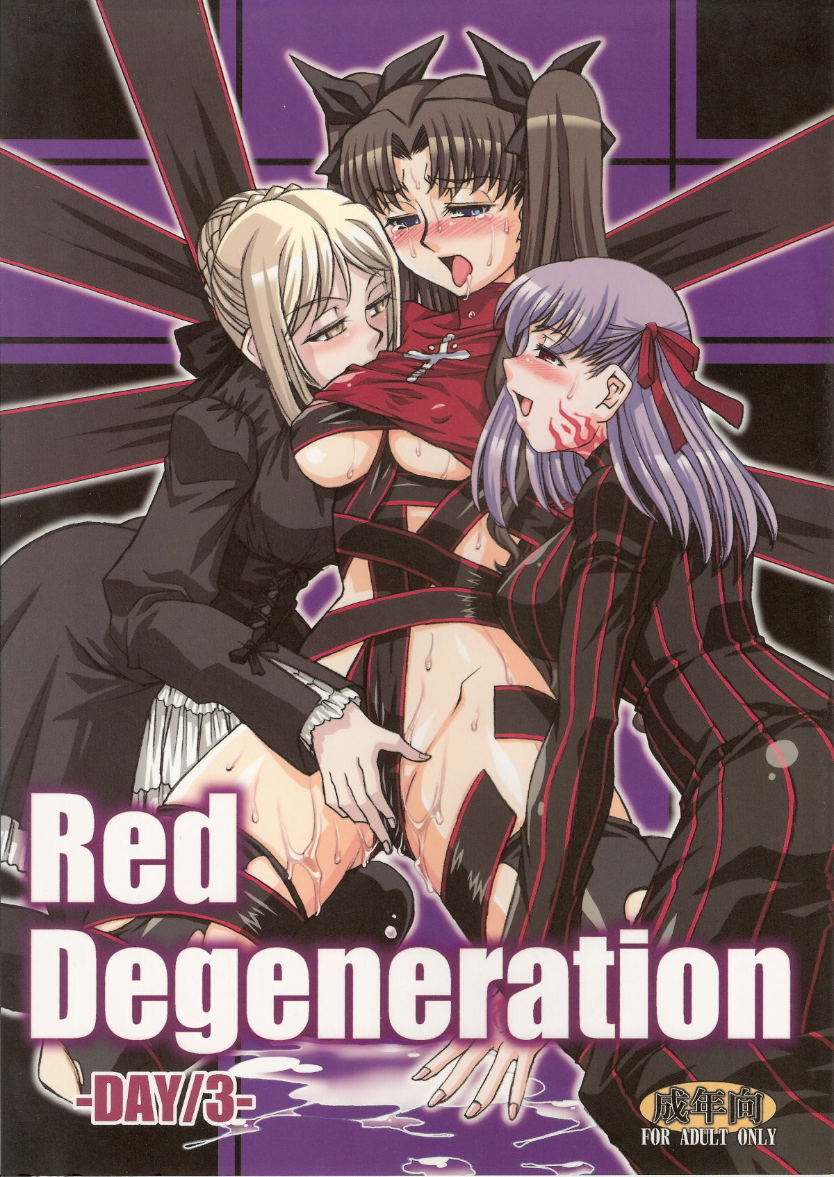 (COMIC1☆2) [H.B (B-RIVER)] Red Degeneration -DAY/3- (Fate/stay night) page 1 full