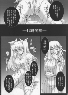 (COMIC1☆2) [H.B (B-RIVER)] Red Degeneration -DAY/3- (Fate/stay night) - page 9