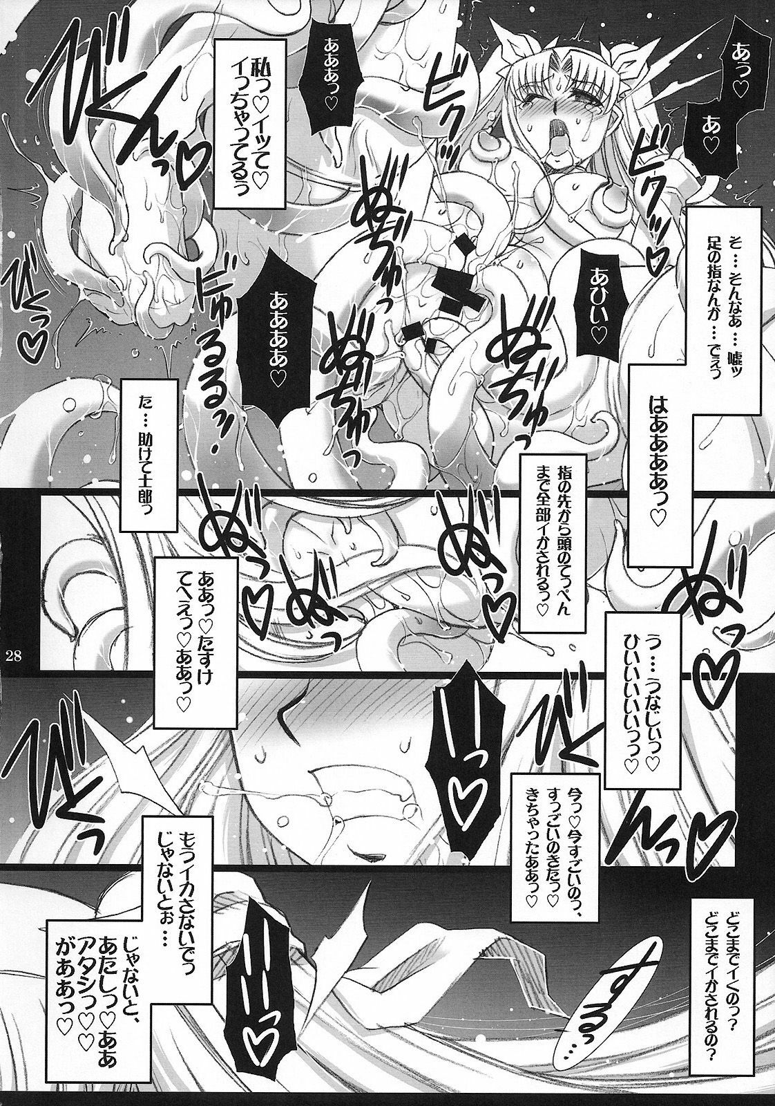 (C75) [H.B (B-RIVER)] Red Degeneration -DAY/4- (Fate/stay night) page 27 full