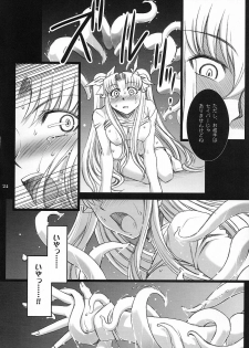 (C75) [H.B (B-RIVER)] Red Degeneration -DAY/4- (Fate/stay night) - page 23