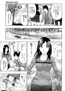 [Azuma Taira] Yawaraka Madam - page 38