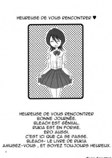 (CR31) [Nikopondo (Aoyama Reo)] Grateful Dead (Bleach) [French] [O-S] - page 3