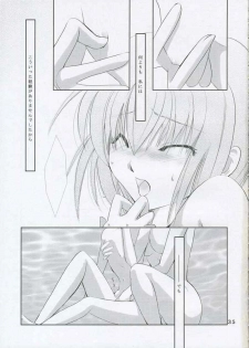 (C68) [Ajala (Mayamura Aki)] Tsuki no Hikari to Kage no Rinbukyoku (Emma) - page 34