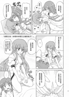 (C77) [Takakuya (Takaku Toshihiko)] Touhou Youjo Ranbu 10 (Touhou Project) [Chinese] - page 17