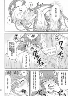 (C77) [Takakuya (Takaku Toshihiko)] Touhou Youjo Ranbu 10 (Touhou Project) [Chinese] - page 26