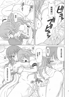 (C77) [Takakuya (Takaku Toshihiko)] Touhou Youjo Ranbu 10 (Touhou Project) [Chinese] - page 27