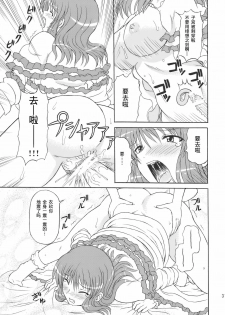 (C77) [Takakuya (Takaku Toshihiko)] Touhou Youjo Ranbu 10 (Touhou Project) [Chinese] - page 31