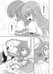 (C77) [Takakuya (Takaku Toshihiko)] Touhou Youjo Ranbu 10 (Touhou Project) [Chinese] - page 9