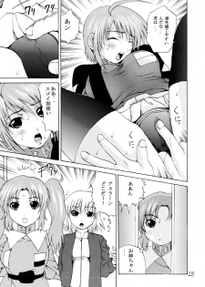 (C67) [Arrow Island (Gekka Saeki)] Ao no Shindou (Soukyuu no Fafner, Gundam Seed Destiny) - page 24