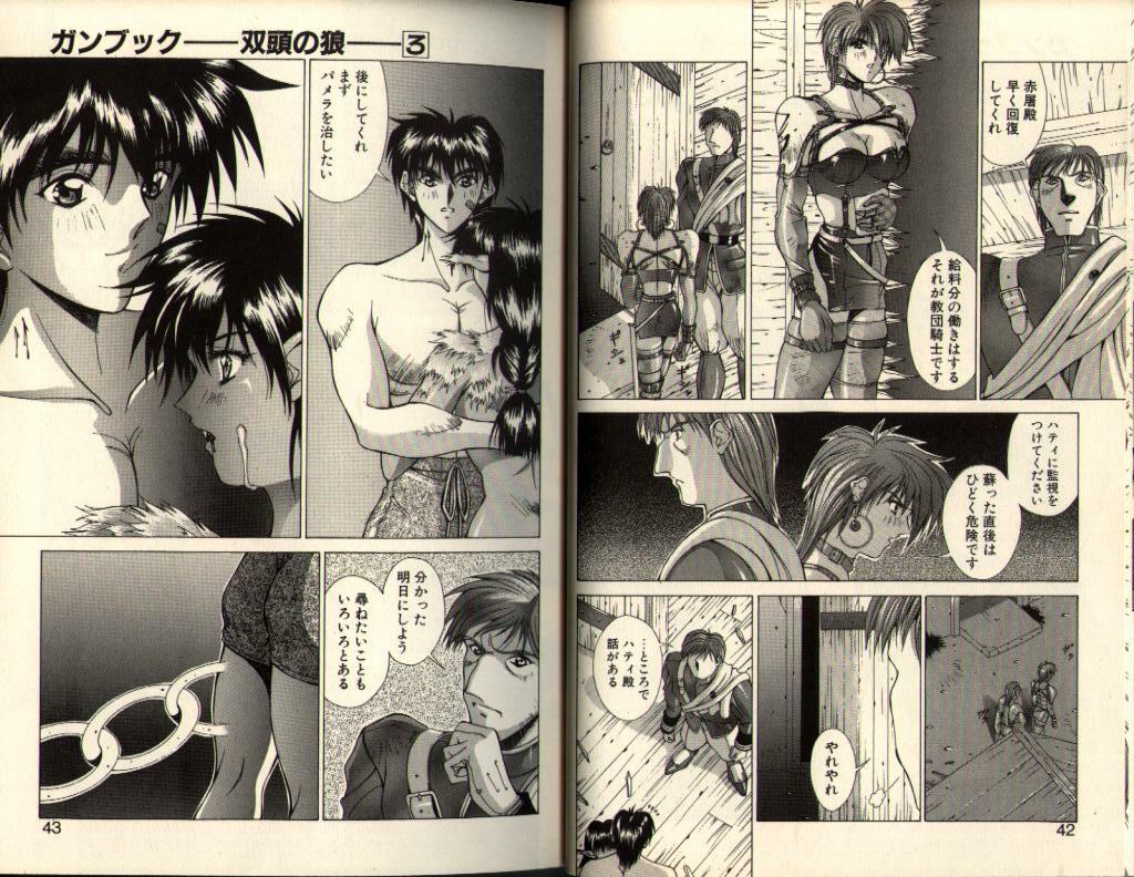 [Aki Matsuri] Gunbook -Soutou no Ookami- 3 - Transformation page 21 full