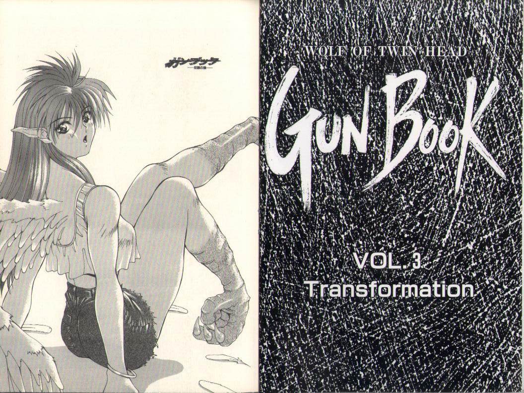 [Aki Matsuri] Gunbook -Soutou no Ookami- 3 - Transformation page 3 full