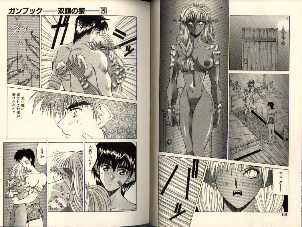 [Aki Matsuri] Gunbook -Soutou no Ookami- 3 - Transformation page 34 full