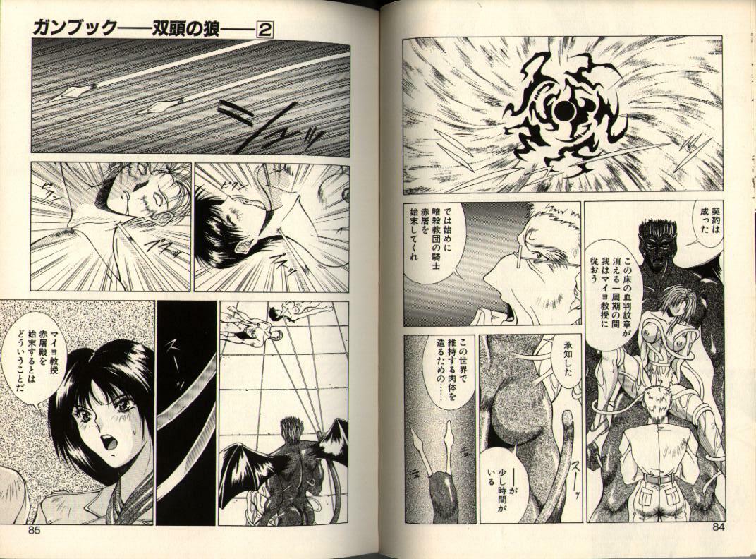 [Aki Matsuri] Gunbook -Soutou no Ookami- 2 - Destiny page 42 full