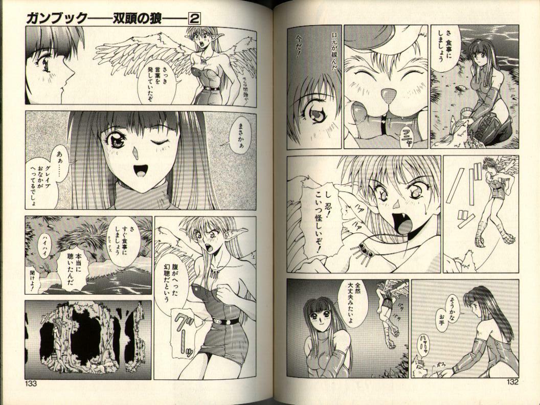 [Aki Matsuri] Gunbook -Soutou no Ookami- 2 - Destiny page 66 full