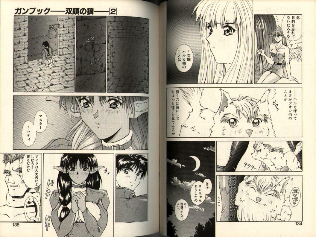 [Aki Matsuri] Gunbook -Soutou no Ookami- 2 - Destiny page 67 full