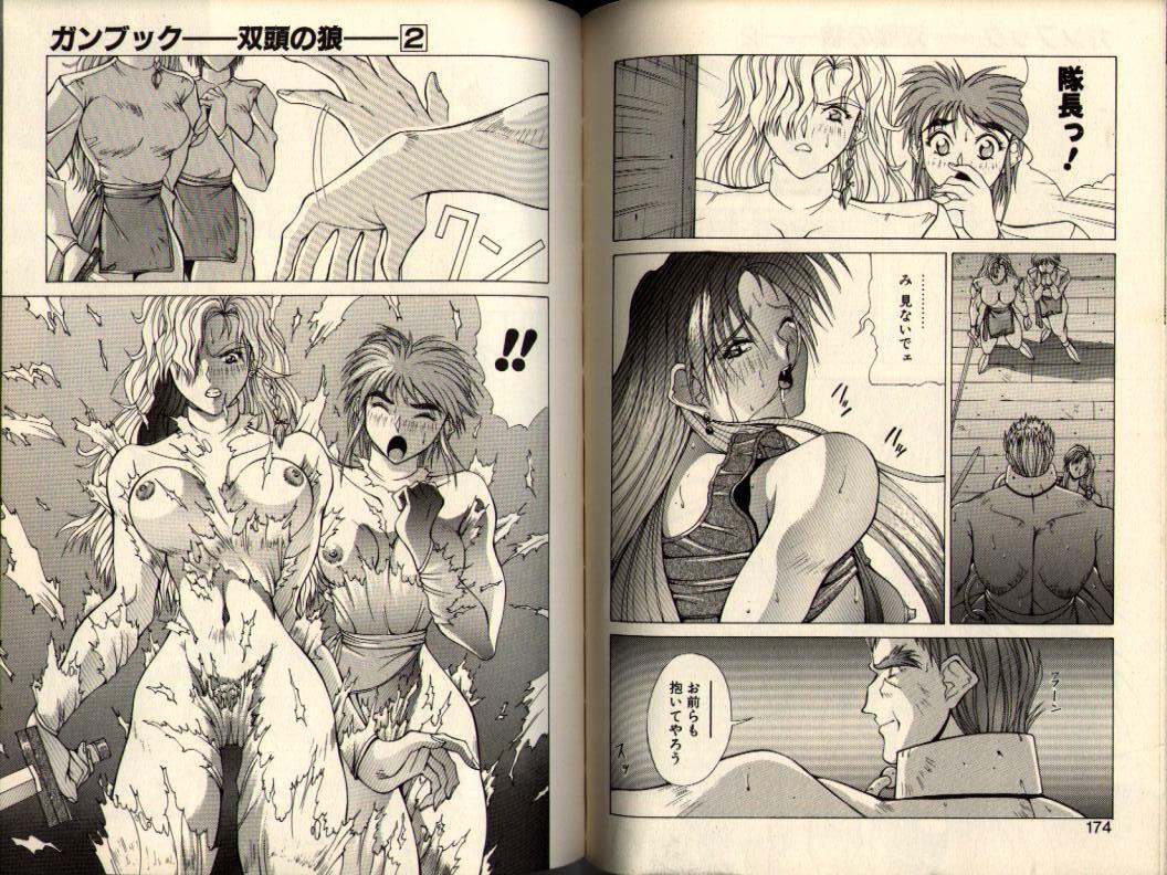 [Aki Matsuri] Gunbook -Soutou no Ookami- 2 - Destiny page 87 full