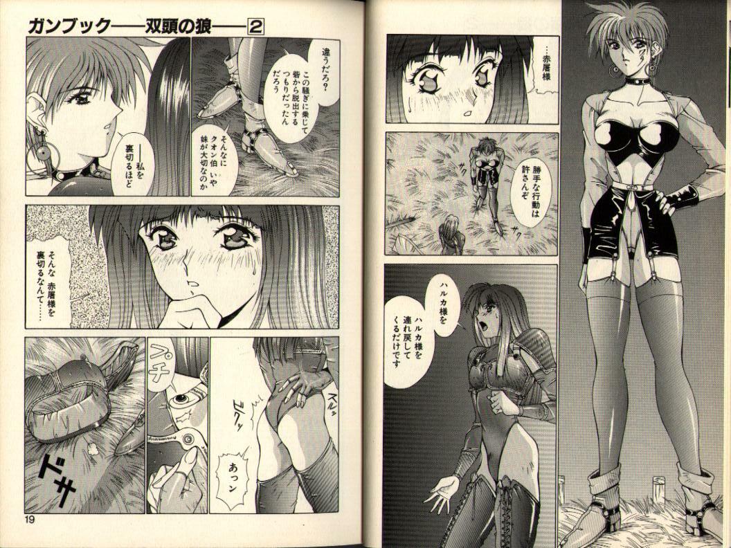 [Aki Matsuri] Gunbook -Soutou no Ookami- 2 - Destiny page 9 full