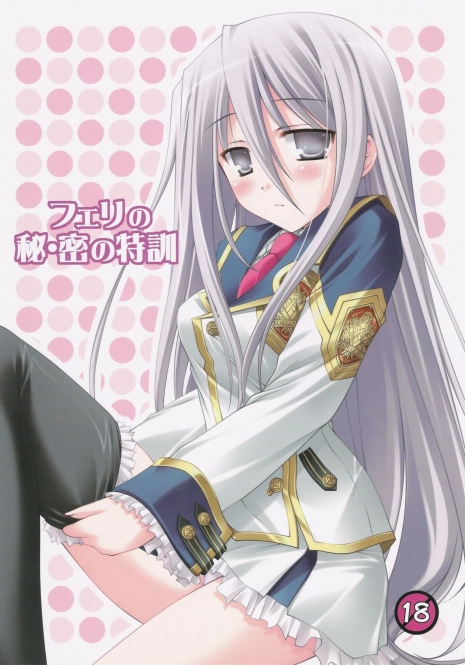 (COMIC1☆3) [Nirvana Soft (HIRONII)] Felli no Hi-Mitsu Tokkun (Chrome Shelled Regios) [English]