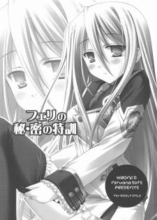 (COMIC1☆3) [Nirvana Soft (HIRONII)] Felli no Hi-Mitsu Tokkun (Chrome Shelled Regios) [English] - page 3