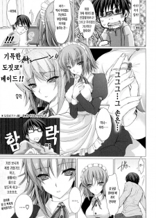 [Kizuki Aruchu] Maid Yome - Maid Bride | 메이드 신부 [Korean] [LACRIMA] - page 17