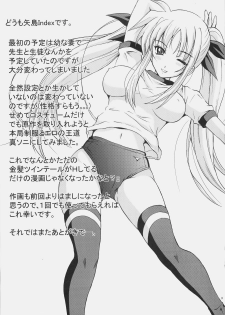 (C77) [Rivajima (Yajima Index)] Niizuma Fate (Mahou Shoujo Lyrical Nanoha) - page 2