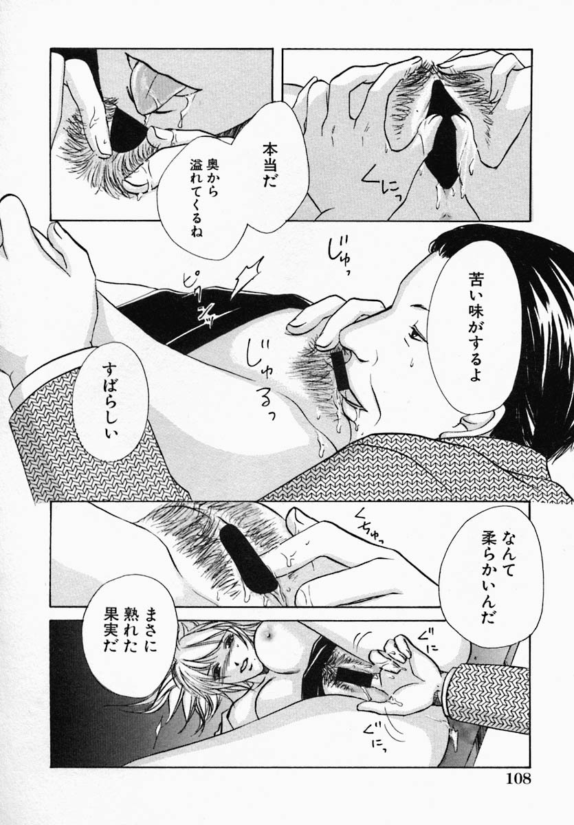 [Hiryuu Takahiro] Utsukushii Hito - The Beauty page 113 full