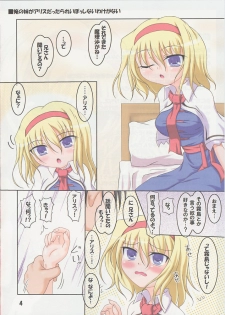 (C78) [Schwester (Shirau Inasaki) Imouto Alice (Touhou Project) - page 3